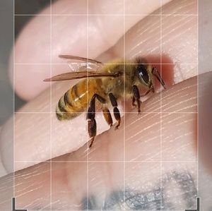 Meet your Posher, Pam